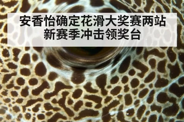 安香怡确定花滑大奖赛两站 新赛季冲击领奖台